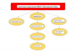Органами управления школой являются:
Управляющий совет
Педагогический совет
Общее собрание работников